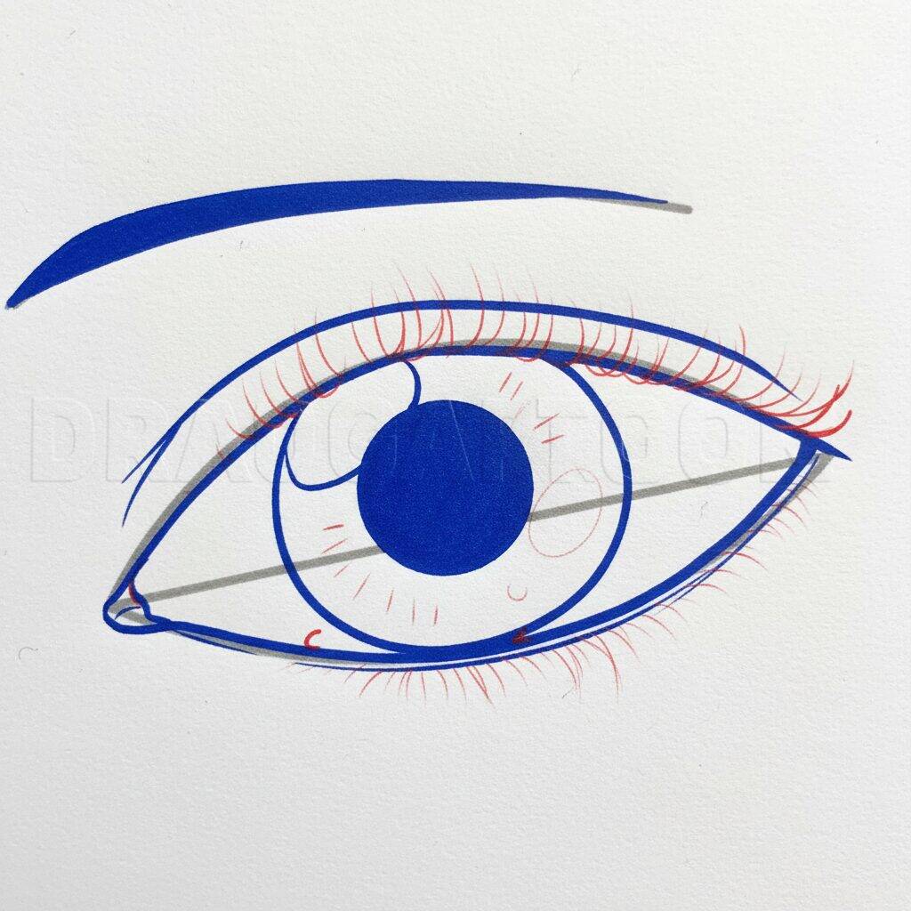 Como Desenhar Olhos Passo a Passo Fácil – Passo 5