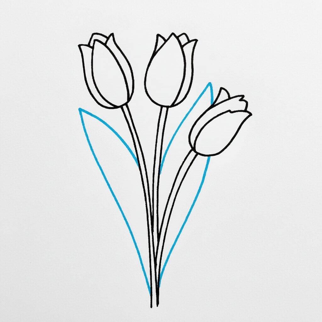 Como Desenhar Tulipas – Passo a Passo Fácil – Passo 7