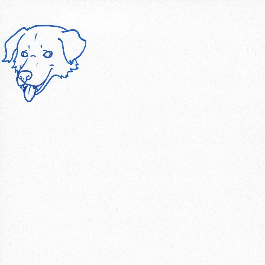 Cómo dibujar un perro realista – Paso a paso – Paso 2