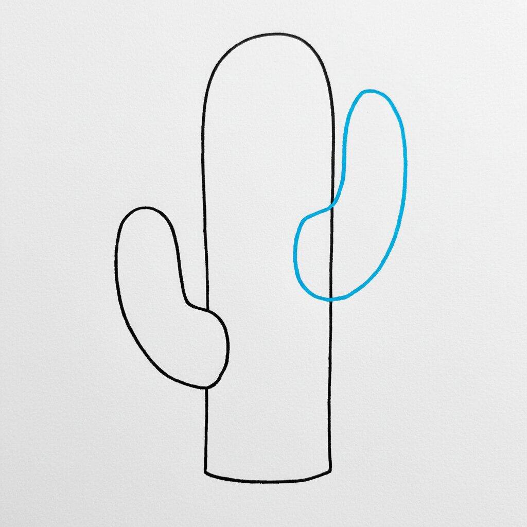 Como Desenhar um Cacto – Passo a Passo Fácil – Passo 3