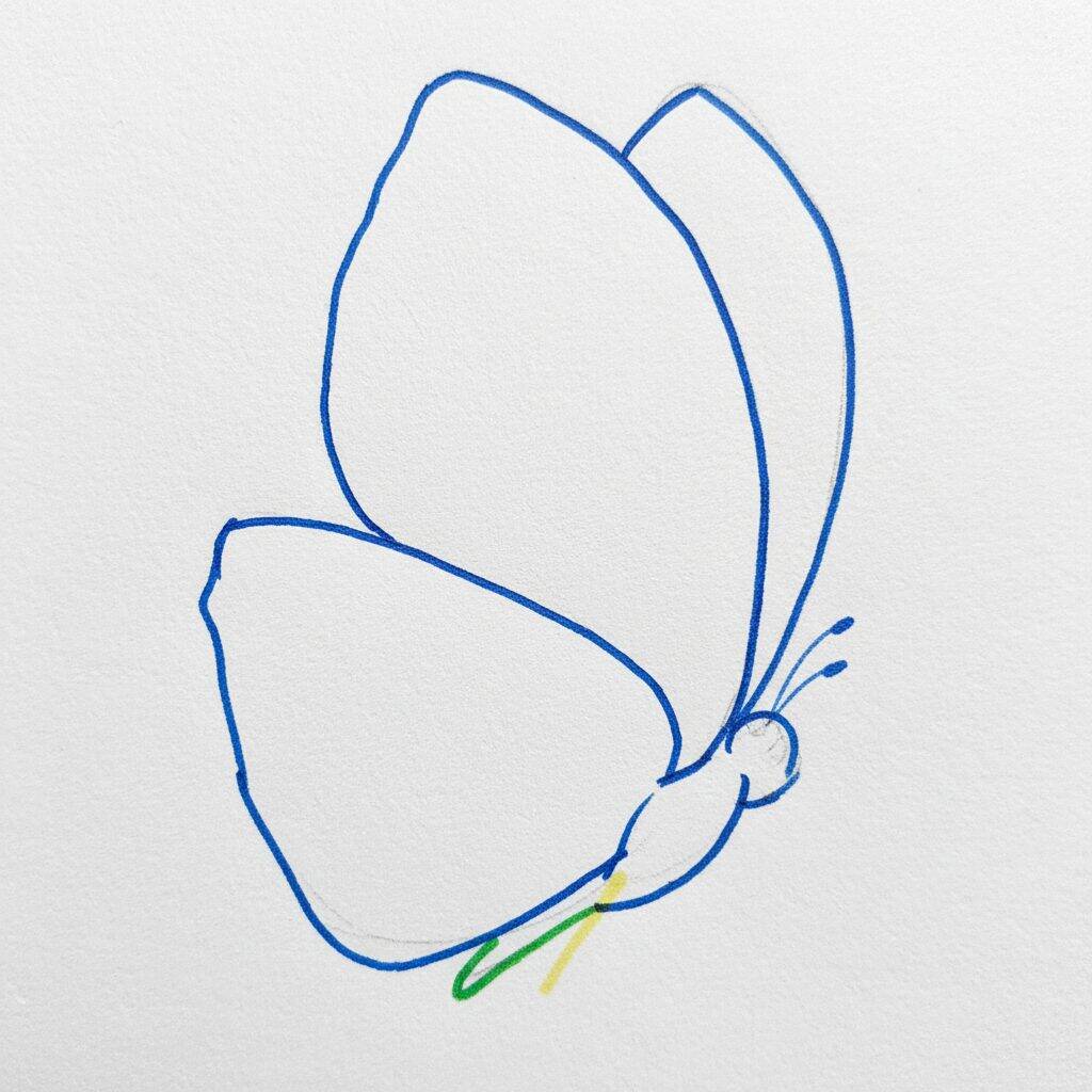 Como Desenhar uma Borboleta Realista – Passo a Passo – Paso 1