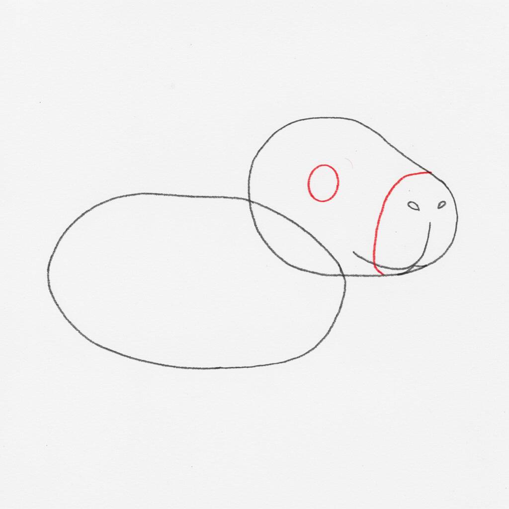 Como Desenhar uma Capivara – Passo a Passo Fácil – Passo 2