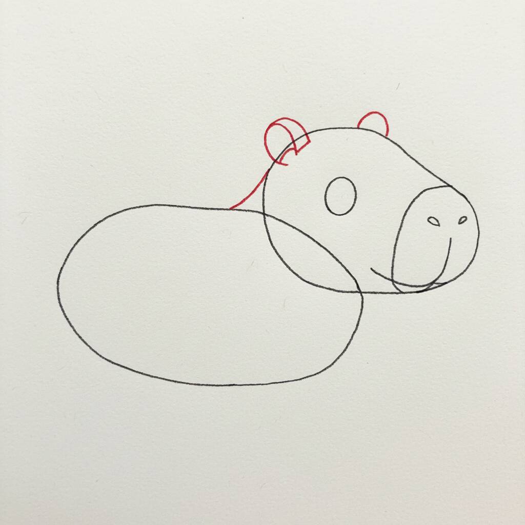 Como Desenhar uma Capivara – Passo a Passo Fácil – Passo 3