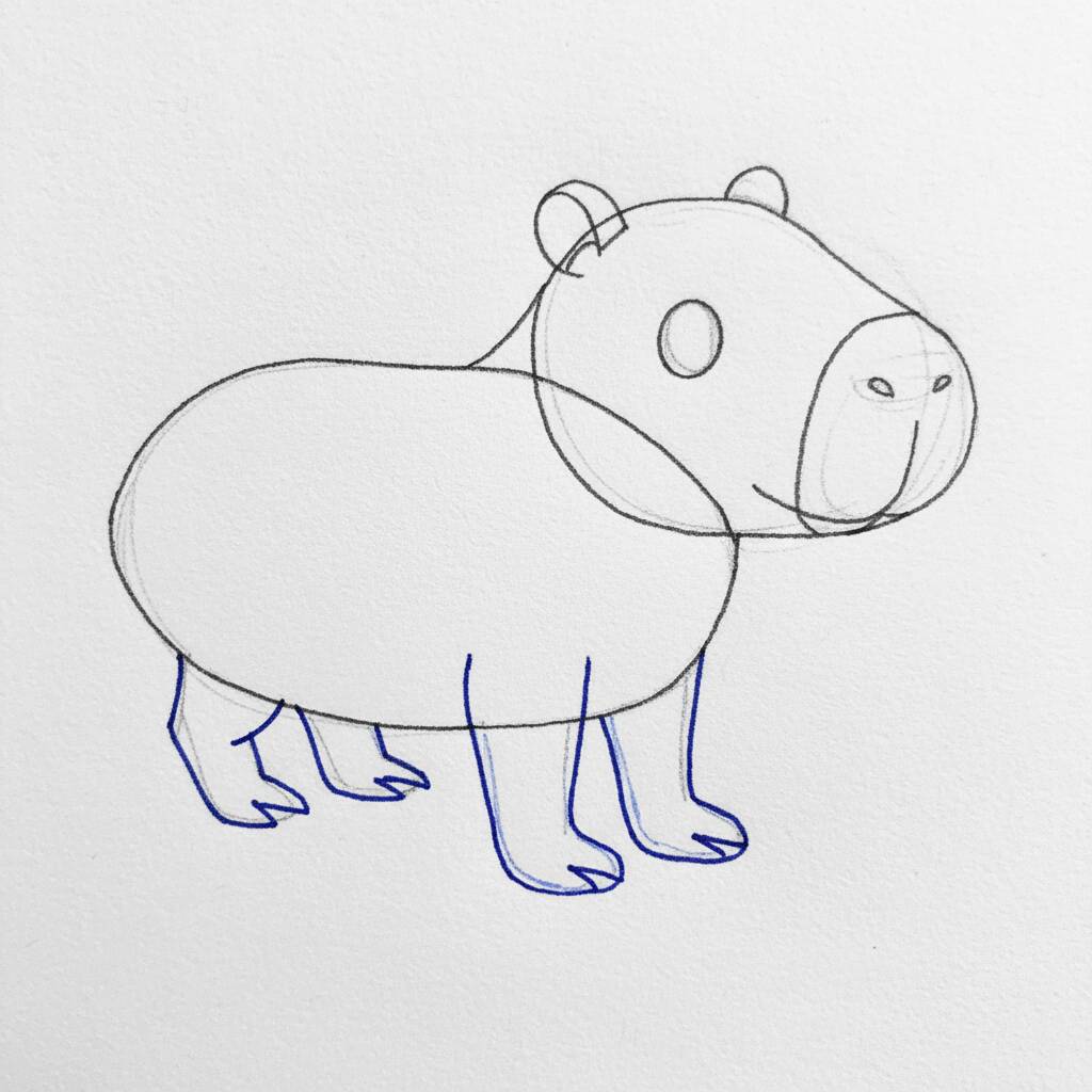 Como Desenhar uma Capivara – Passo a Passo Fácil – Passo 4