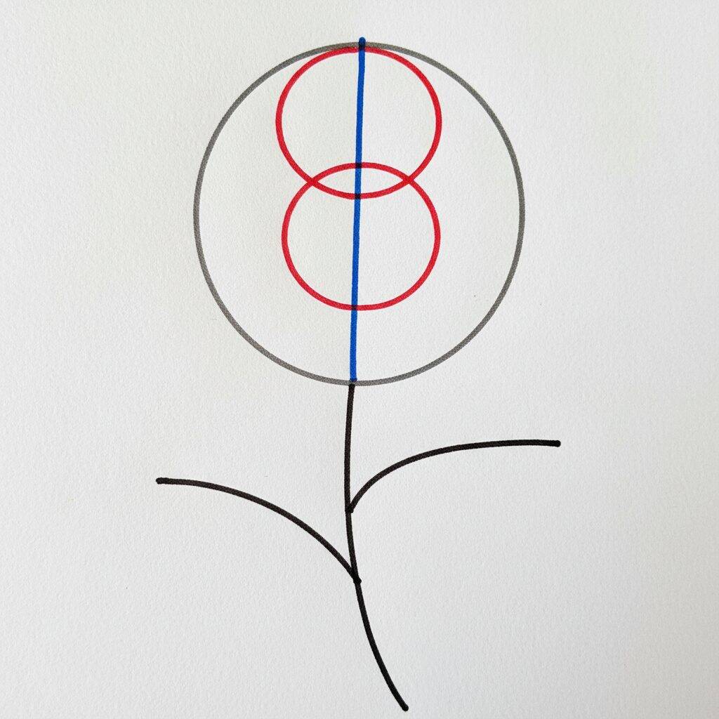 Como Desenhar uma Flor Simples Passo a Passo Fácil – Passo 2