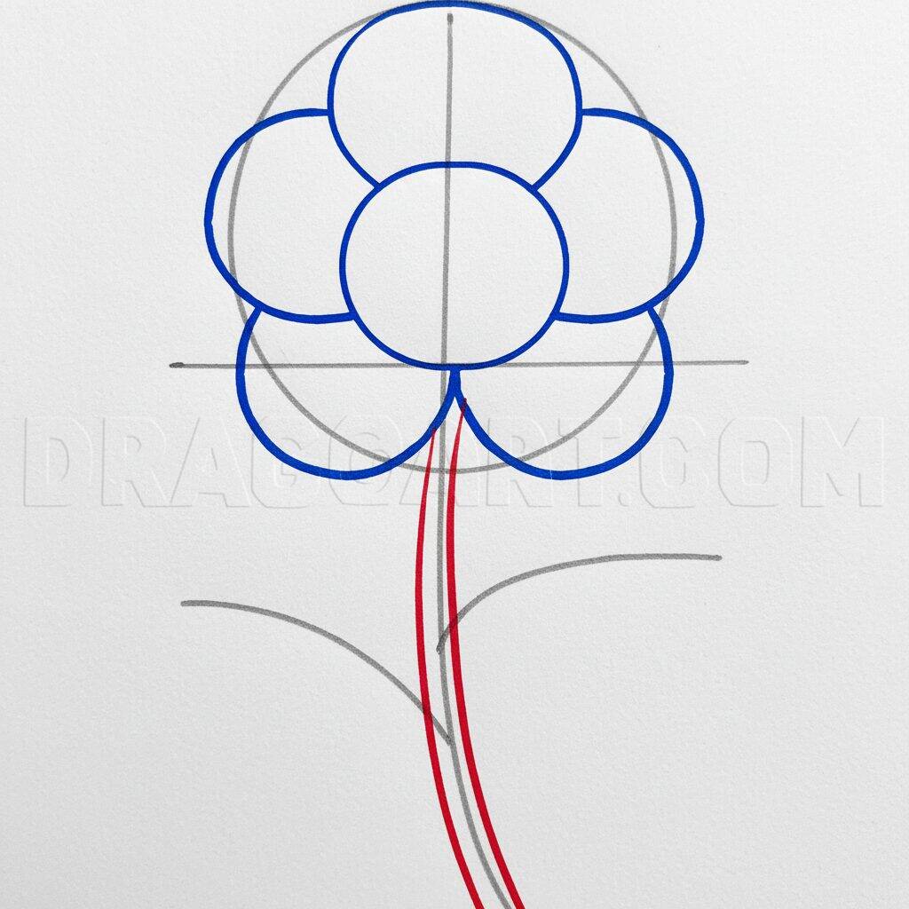 Como Desenhar uma Flor Simples Passo a Passo Fácil – Passo 4