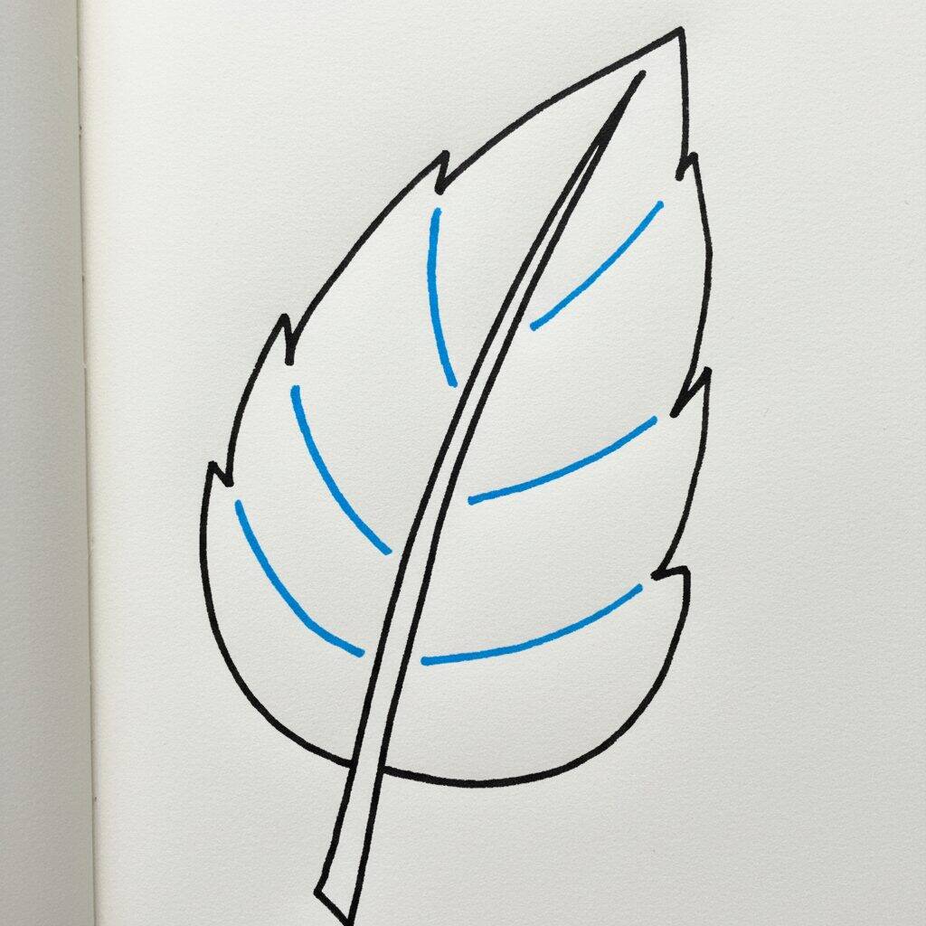 Como Desenhar uma Folha – Passo a Passo Fácil – Passo 3