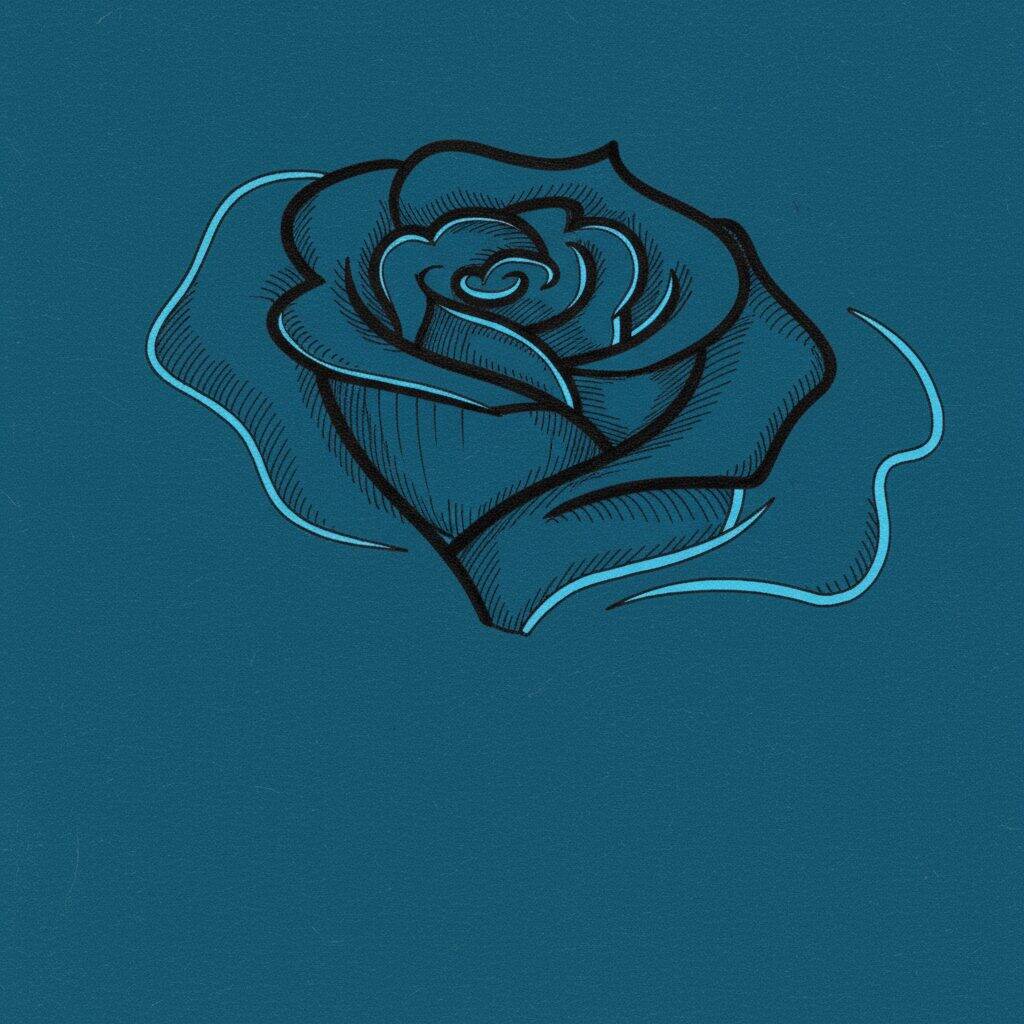 Como Desenhar uma Rosa – Passo 5