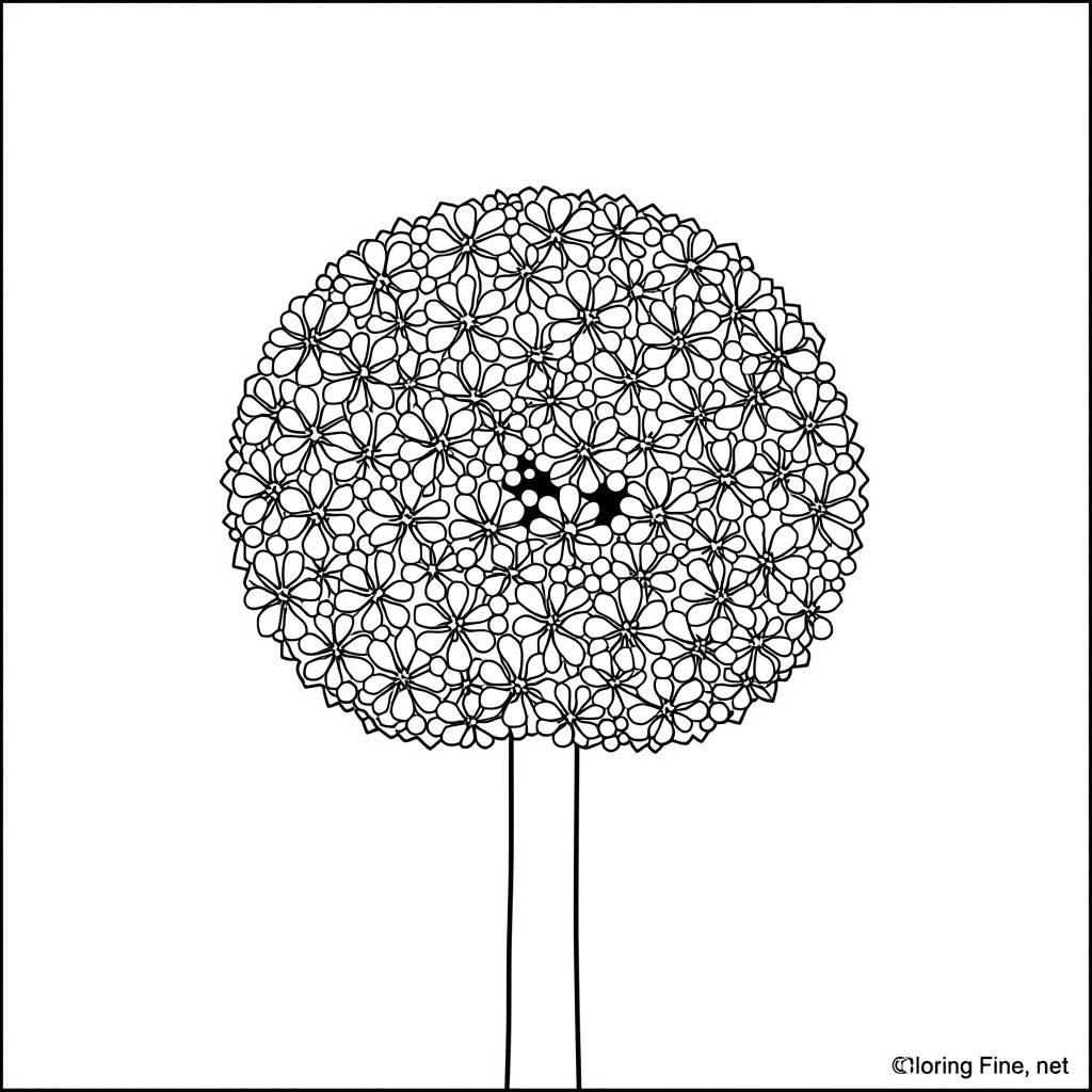 Desenho de Flor de Cebola para Colorir