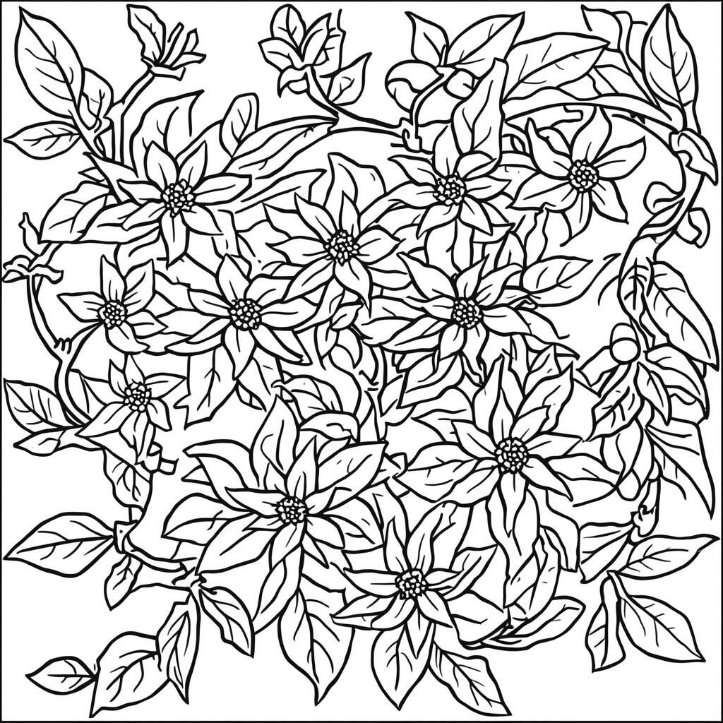 Desenho de Flor de Jasmim para Colorir