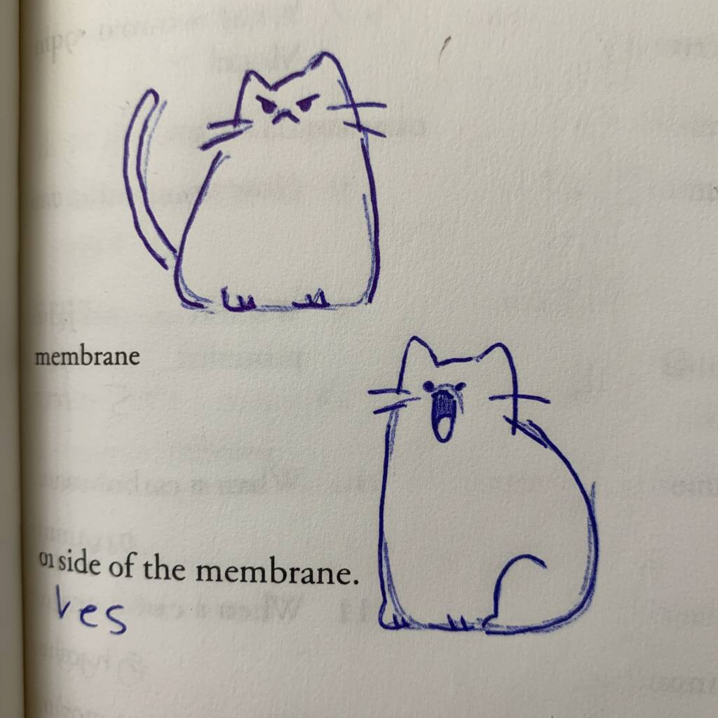 Desenho de gatinhos fofos para colorir