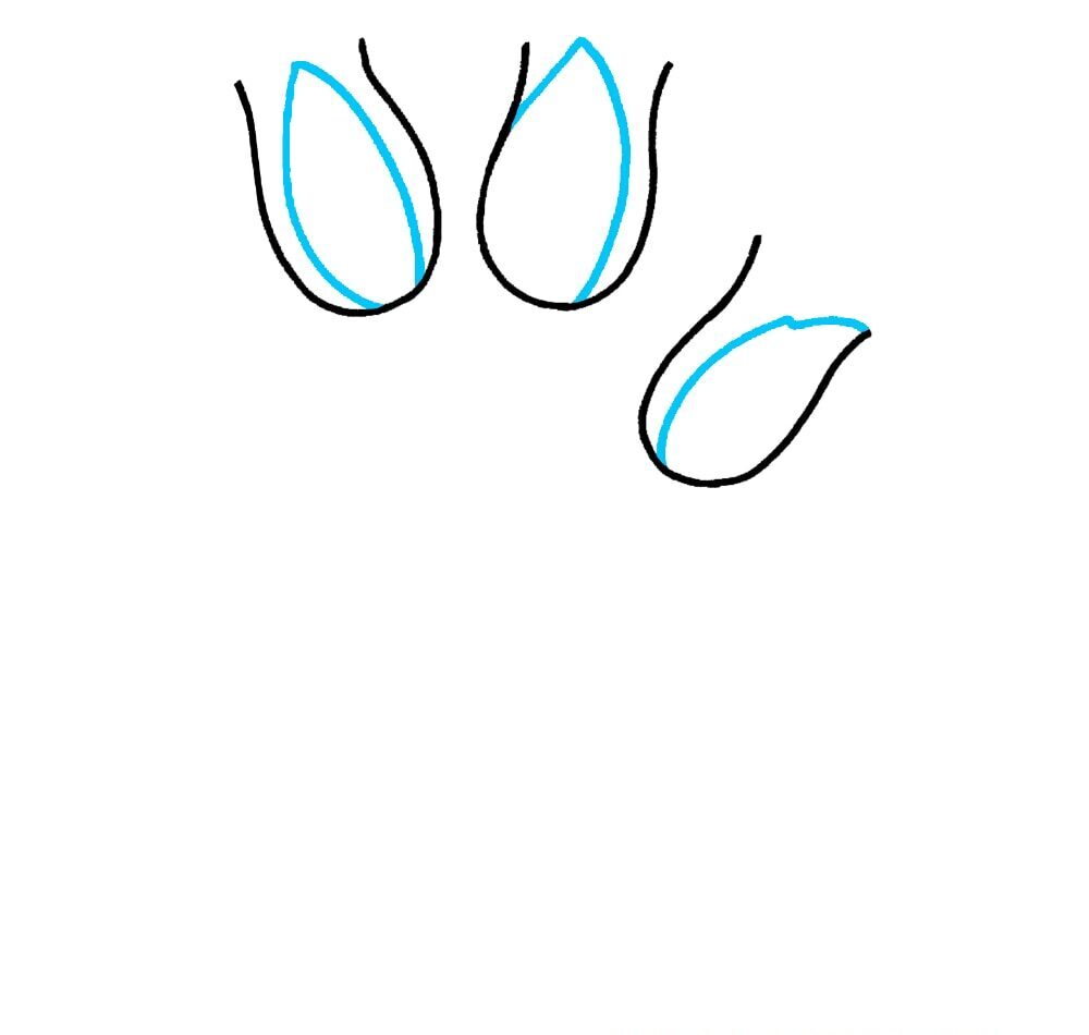 Como Desenhar Tulipas – Passo a Passo Fácil – Passo 2