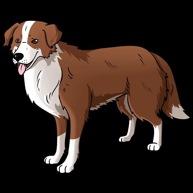 Cómo dibujar un perro realista – Paso a paso – Paso 10