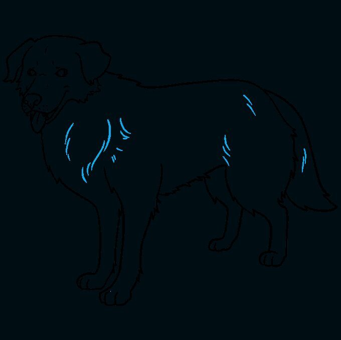 Cómo dibujar un perro realista – Paso a paso – Paso 9