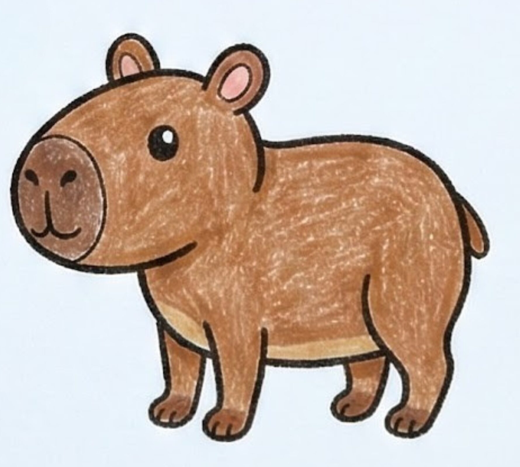 Como Desenhar uma Capivara Realista - Passo a Passo