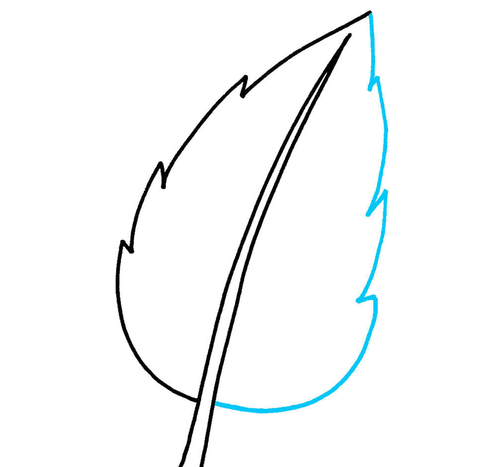 Como Desenhar uma Folha – Passo a Passo Fácil – Passo 2