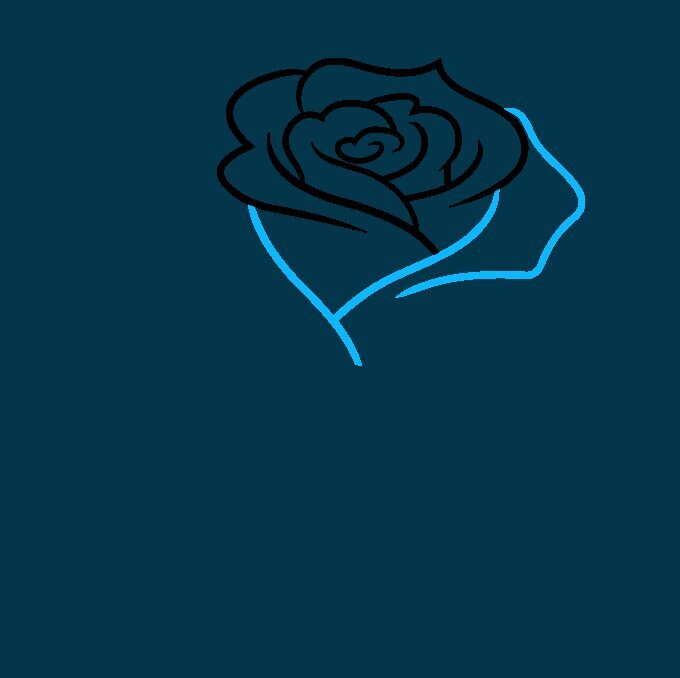 Como Desenhar uma Rosa – Passo 4
