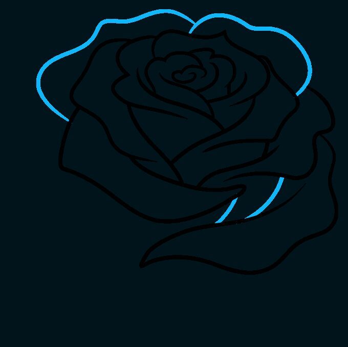 Como Desenhar uma Rosa – Passo 7